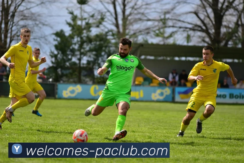 PA直营平台服务体系